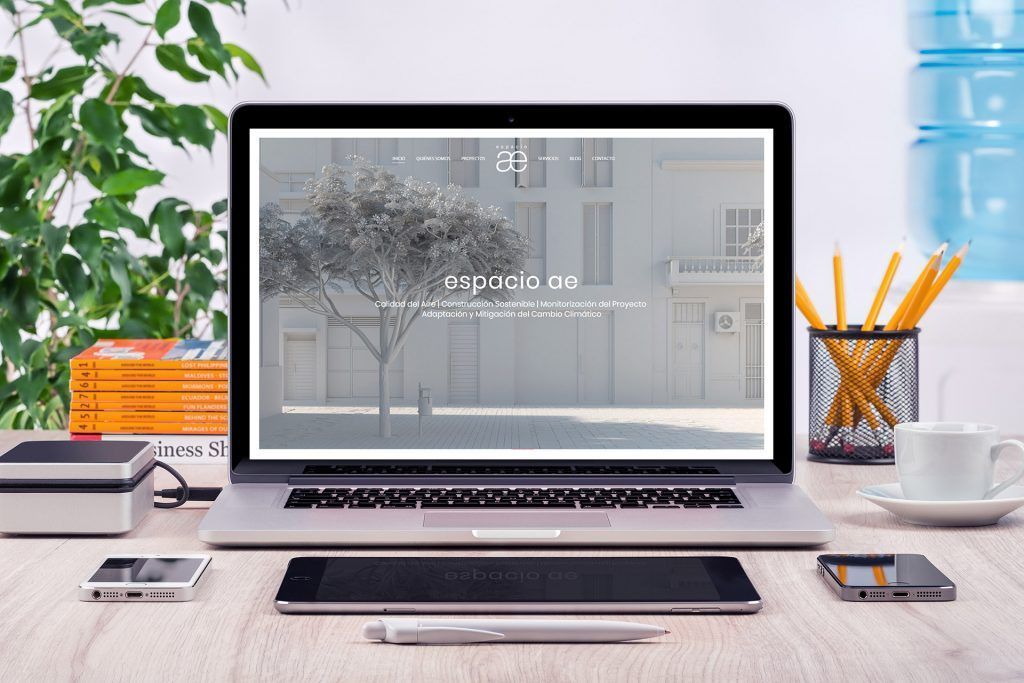 diseno-web-wordpress-espacioae