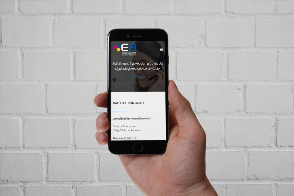 Web-Wordpress-Endoscopi-9-Responsive